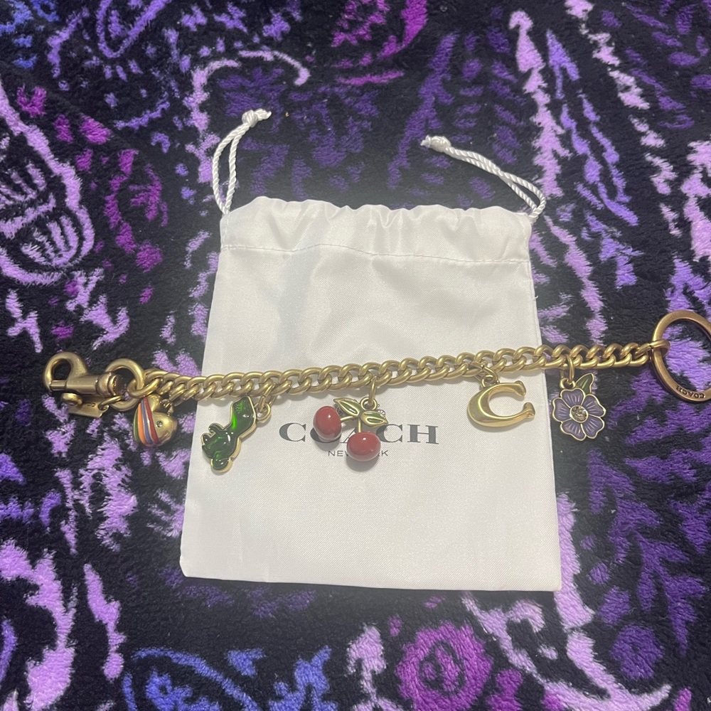 Coach Bag Charm🦖🍒🪻🌼🌈